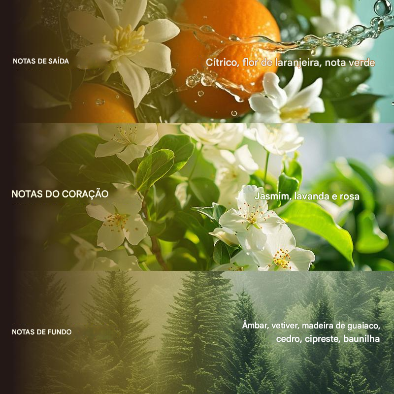 Perfume Duradouro – Baunilha, almíscar e notas amadeiradas